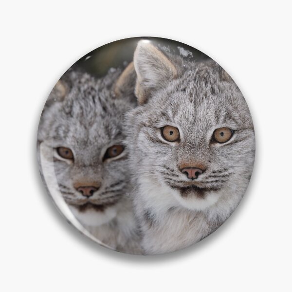 Item preview, Lynx Kittens designed and sold by mlorenz.