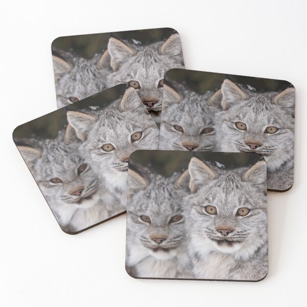 Item preview, Lynx Kittens designed and sold by mlorenz.
