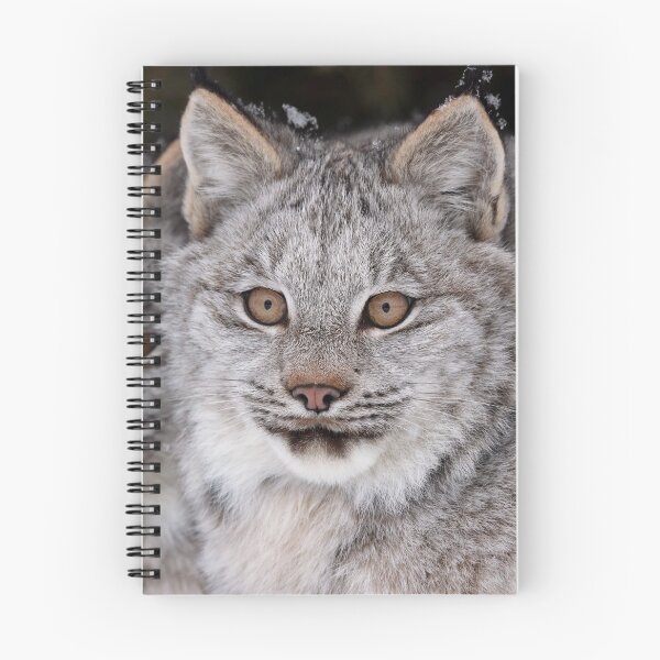Item preview, Lynx Kittens designed and sold by mlorenz.