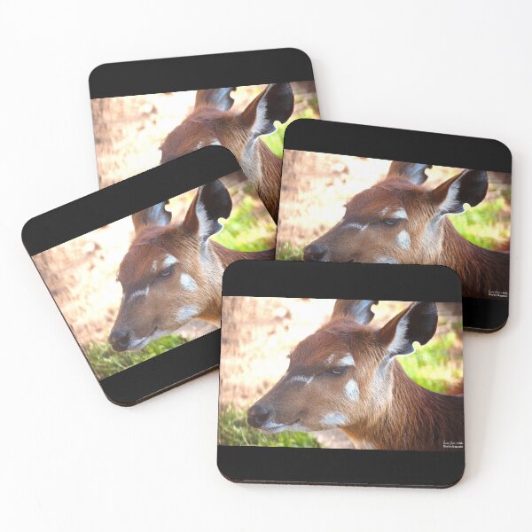 Item preview, Deer Close Up designed and sold by Vassia Sarri.