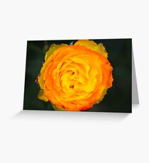 Grandmother's Garden 2 Greeting Card