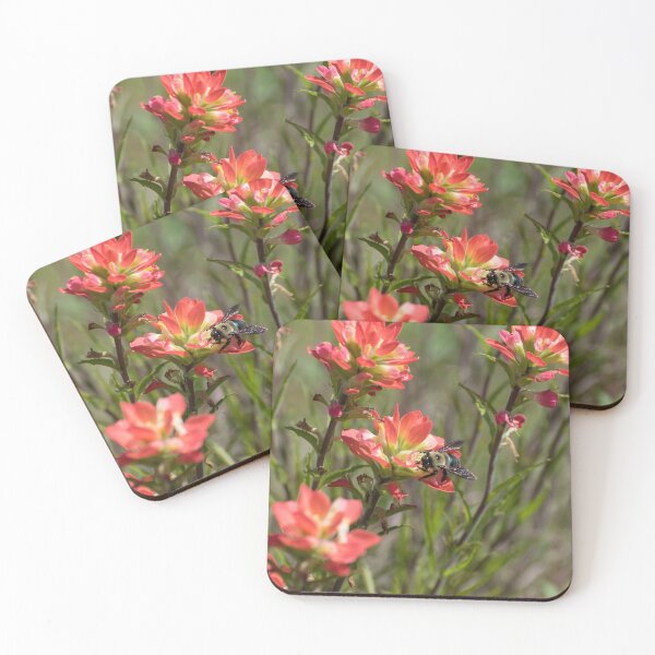 Item preview, Bumble Bee on bright pink Indian Paintbrush flowers designed and sold by Stretch Clendennen.