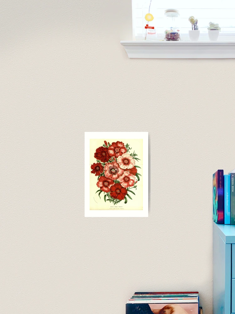 Thumbnail 2 von 3, Kunstdruck, Flore des serres et des... designt und verkauft von Rodeoclash.