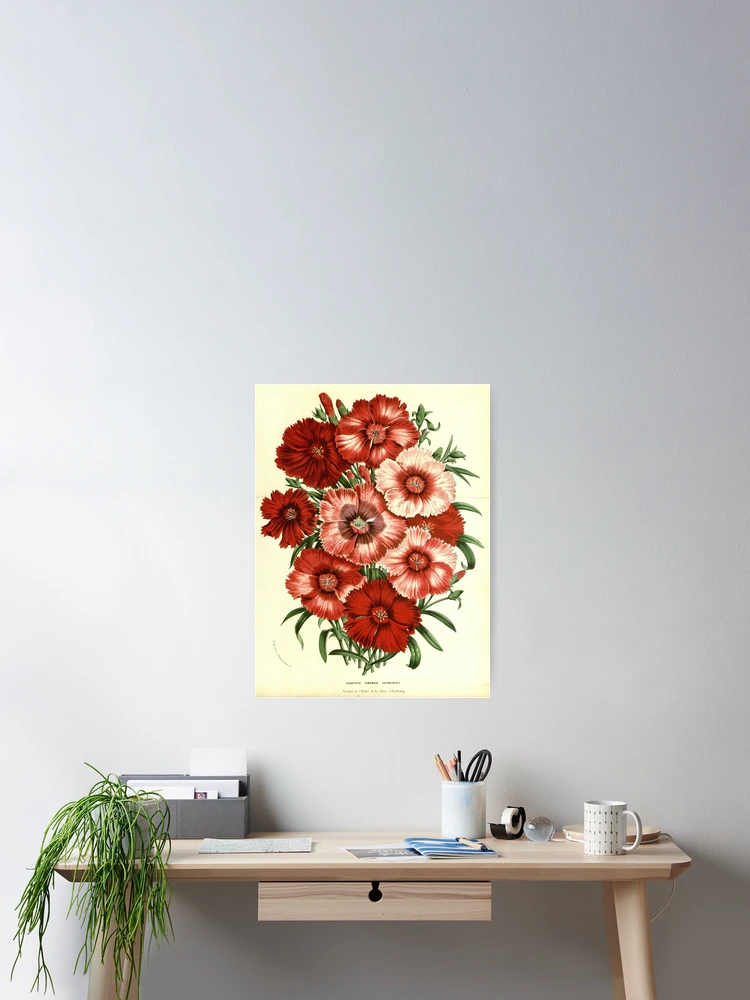 Imagen 2 de 3, Póster con la obra Flore des serres et des..., diseñada y vendida por Rodeoclash.