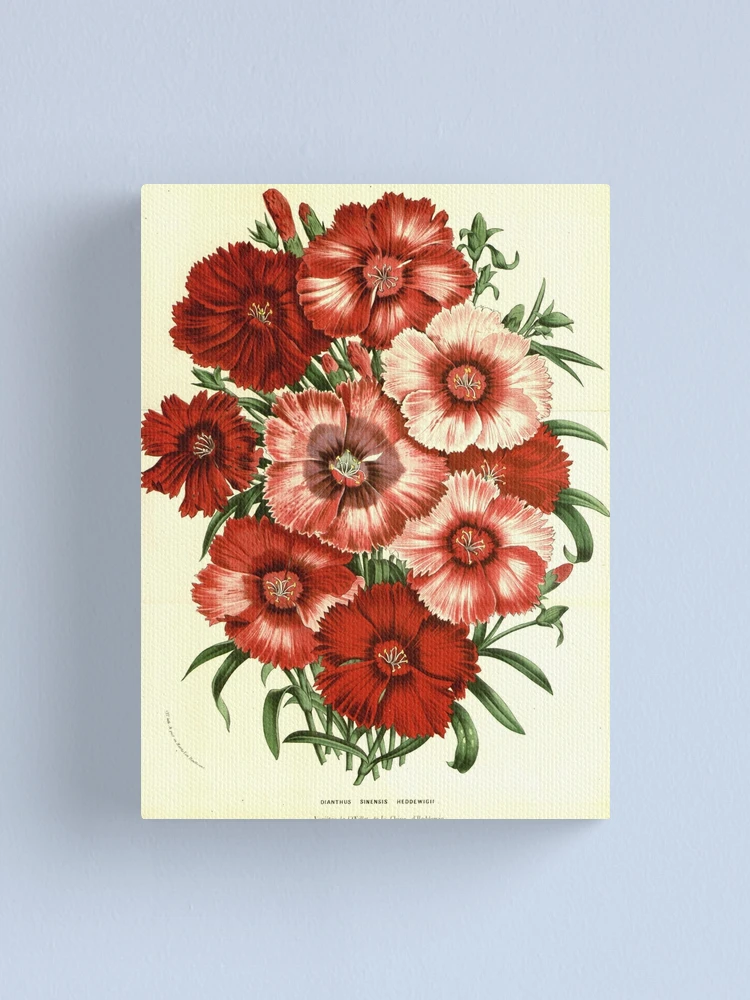 Imagen 1 de 3, Lienzo con la obra Flore des serres et des..., diseñada y vendida por Rodeoclash.