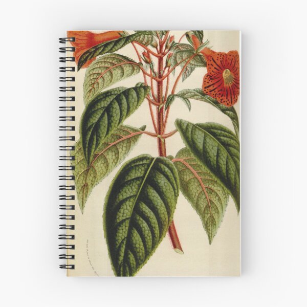 Item preview, Flore des serres et des... designed and sold by Rodeoclash.