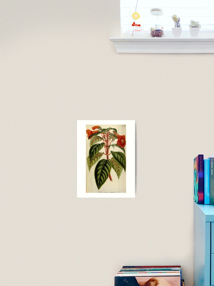 Thumbnail 2 von 3, Kunstdruck, Flore des serres et des... designt und verkauft von Rodeoclash.