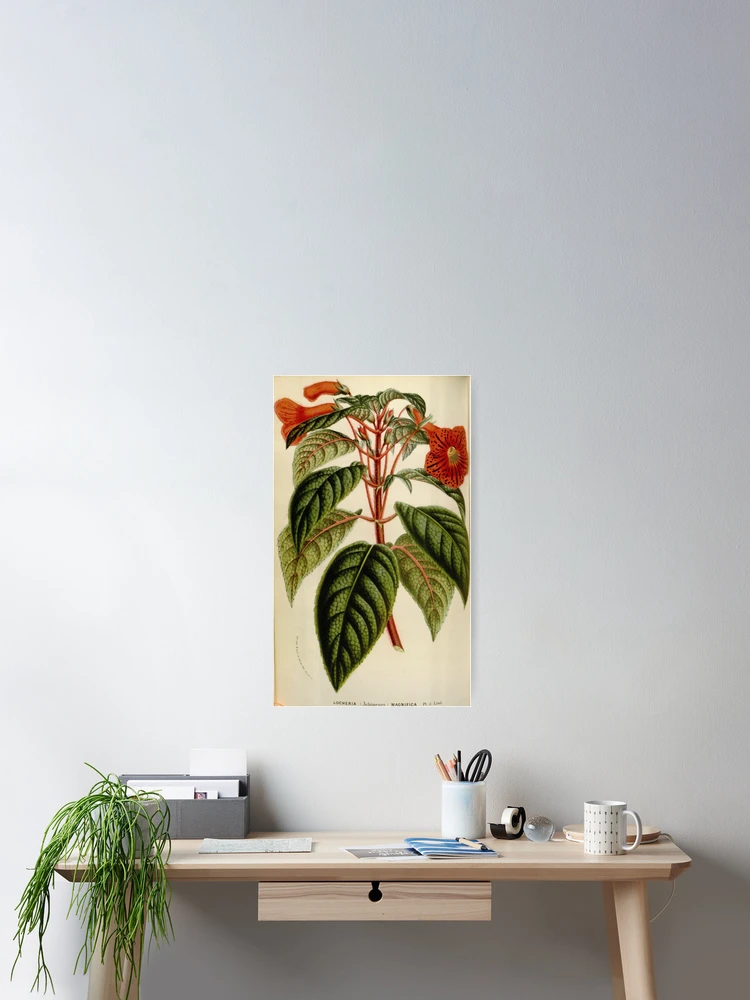 Imagen 2 de 3, Póster con la obra Flore des serres et des..., diseñada y vendida por Rodeoclash.