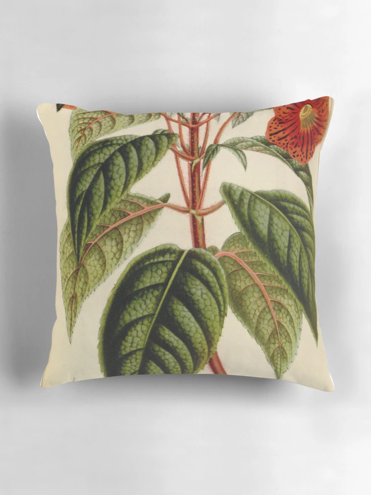 Aperçu 3 sur 4. Coussin avec l'œuvre Flore des serres et des... créée et vendue par Rodeoclash.