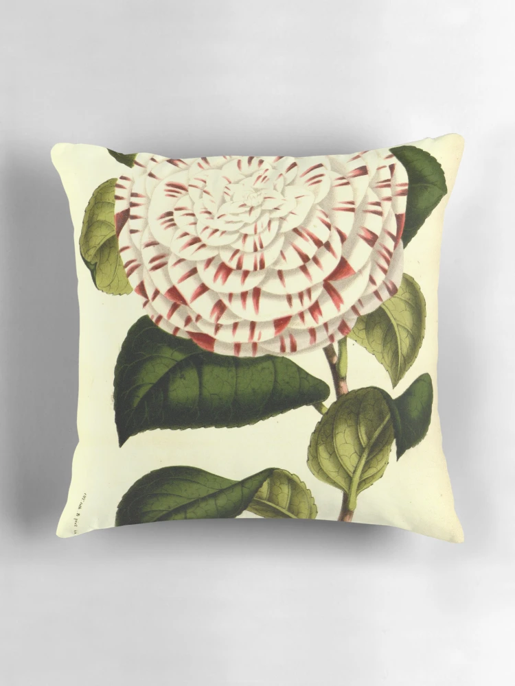 Aperçu 3 sur 4. Coussin avec l'œuvre Flore des serres et des... créée et vendue par Rodeoclash.