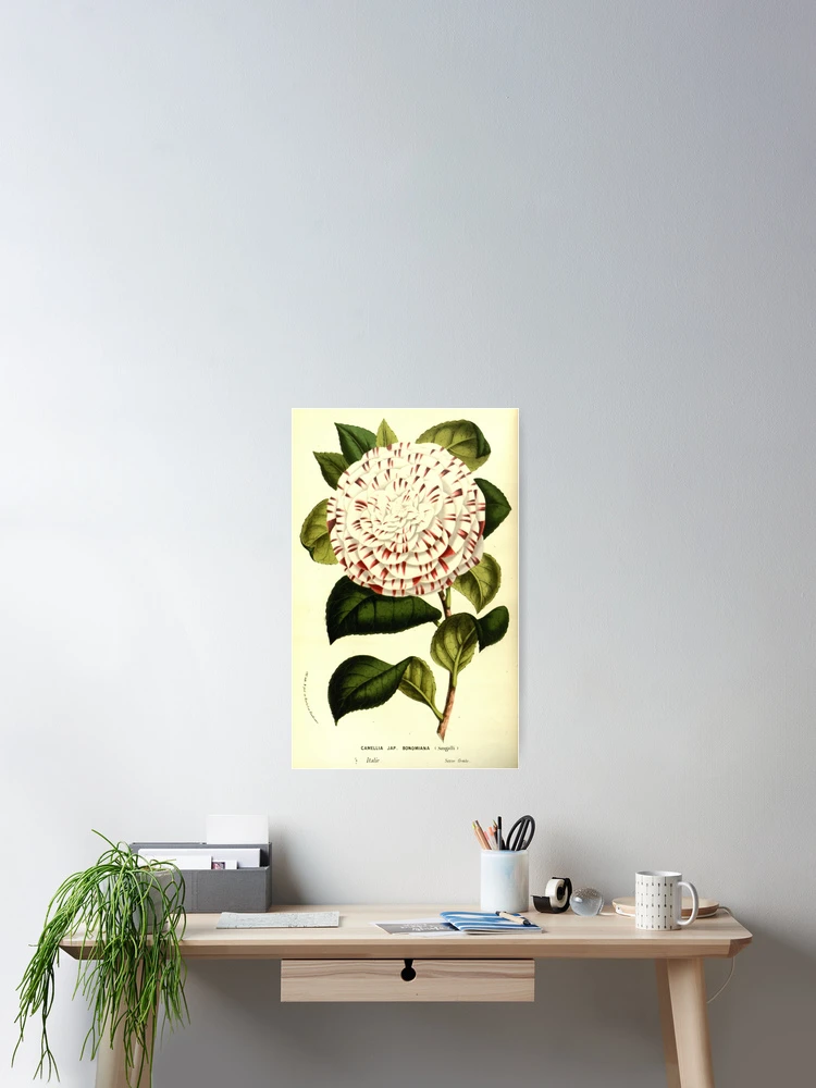 Aperçu 2 sur 3. Poster avec l'œuvre Flore des serres et des... créée et vendue par Rodeoclash.