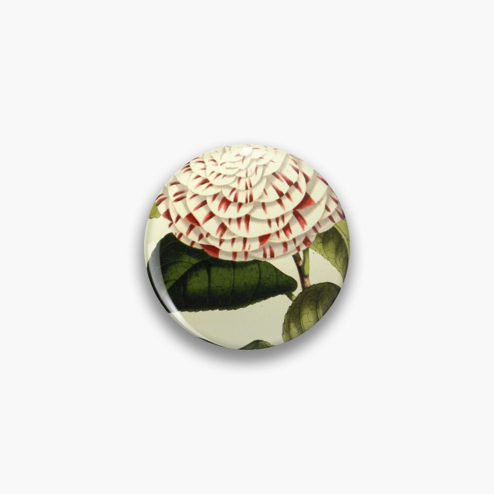 Aperçu de l'œuvre Badge créée et vendue par Rodeoclash.