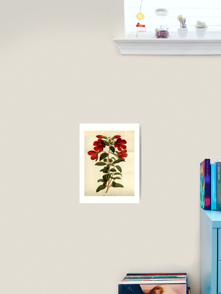 Thumbnail 2 von 3, Kunstdruck, Flore des serres et des... designt und verkauft von Rodeoclash.