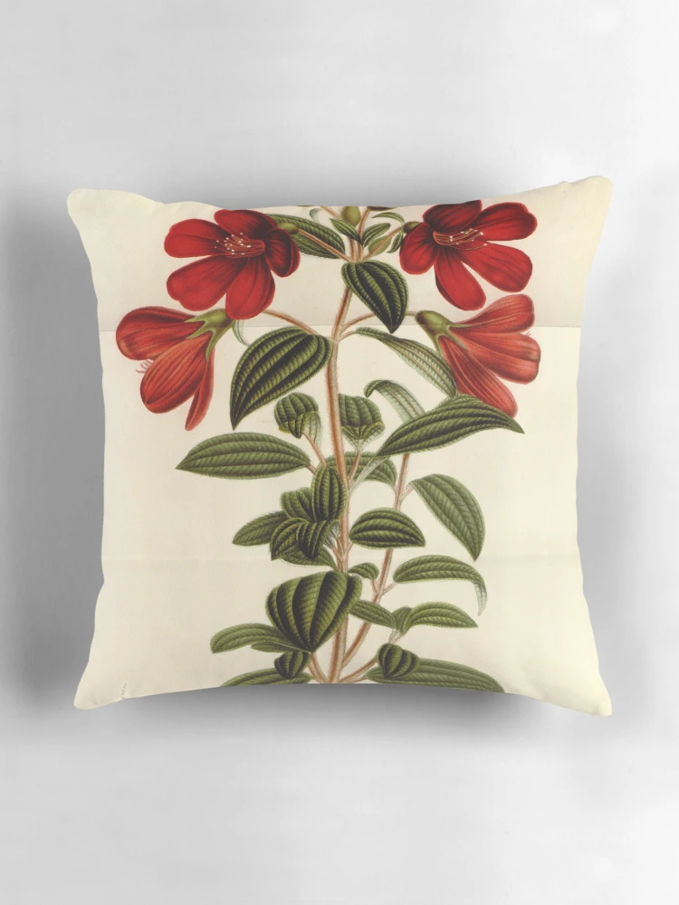 Aperçu 3 sur 4. Coussin avec l'œuvre Flore des serres et des... créée et vendue par Rodeoclash.