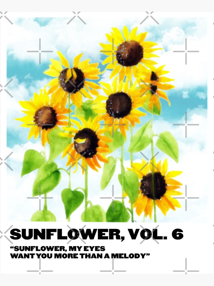girasol de sydneymrejen1