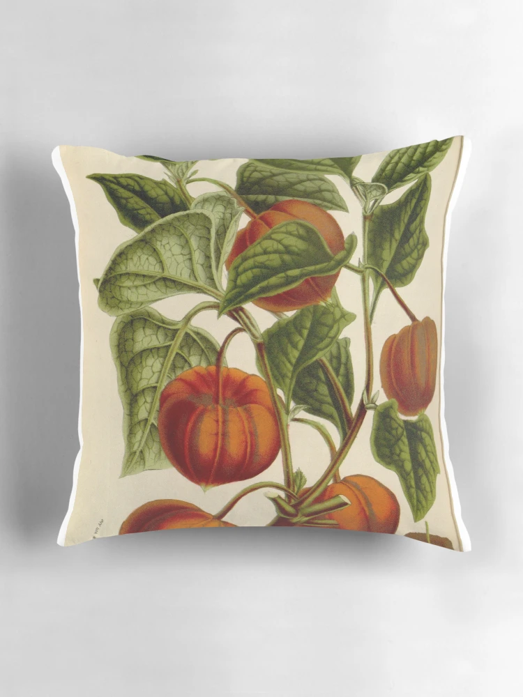 Aperçu 3 sur 4. Coussin avec l'œuvre Flore des serres et des... créée et vendue par Rodeoclash.