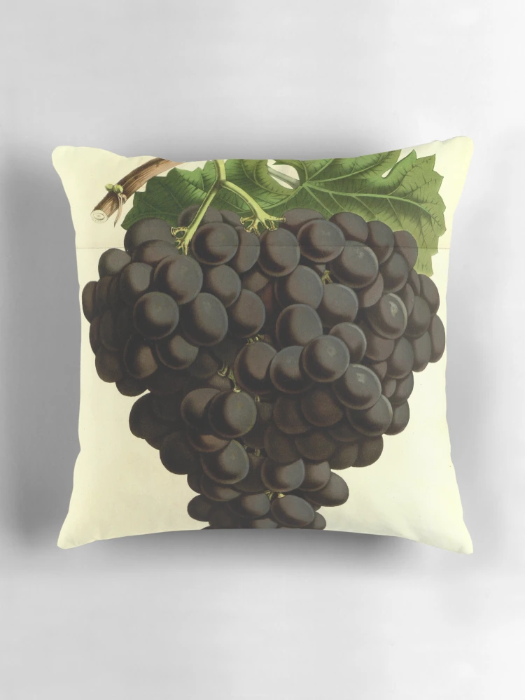 Aperçu 3 sur 4. Coussin avec l'œuvre Flore des serres et des... créée et vendue par Rodeoclash.