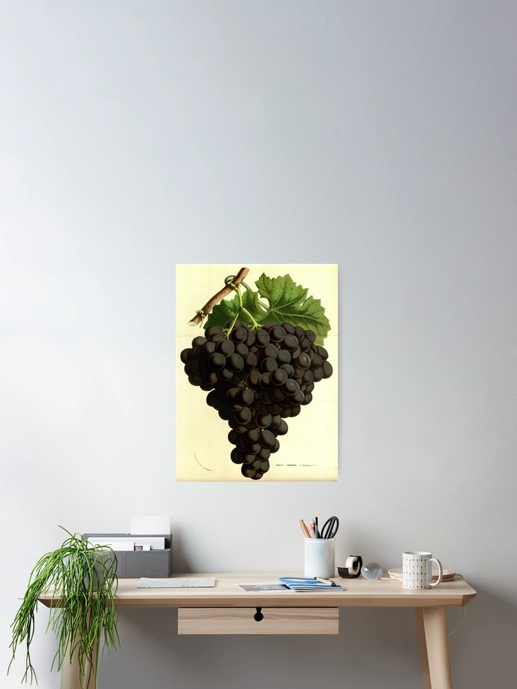 Aperçu 2 sur 3. Poster avec l'œuvre Flore des serres et des... créée et vendue par Rodeoclash.