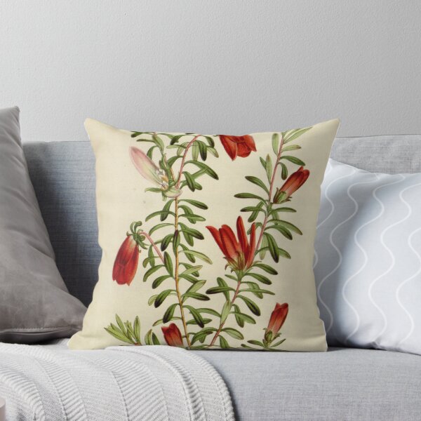 Item preview, Flore des serres et des... designed and sold by Rodeoclash.