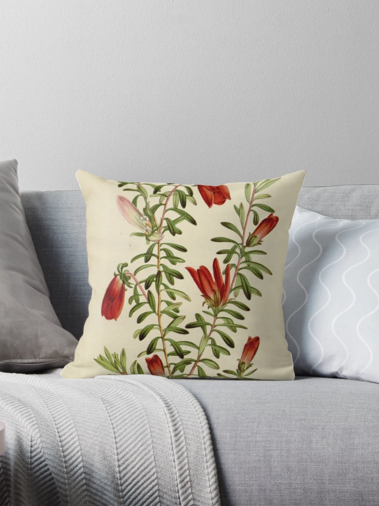 Aperçu 1 sur 4. Coussin avec l'œuvre Flore des serres et des... créée et vendue par Rodeoclash.