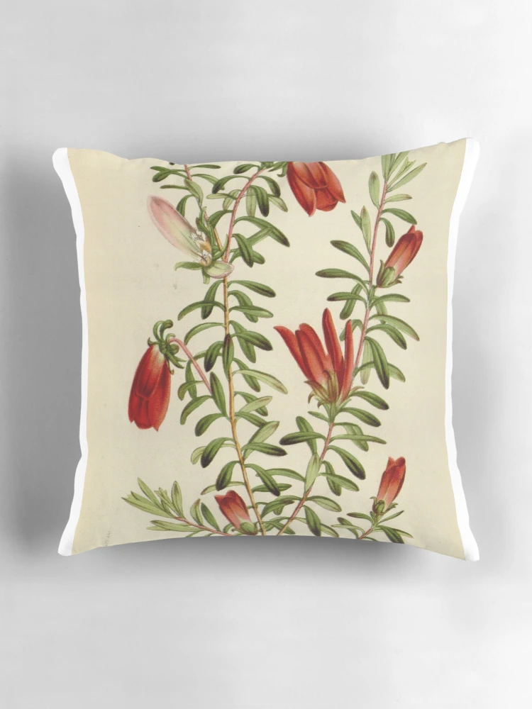 Aperçu 3 sur 4. Coussin avec l'œuvre Flore des serres et des... créée et vendue par Rodeoclash.