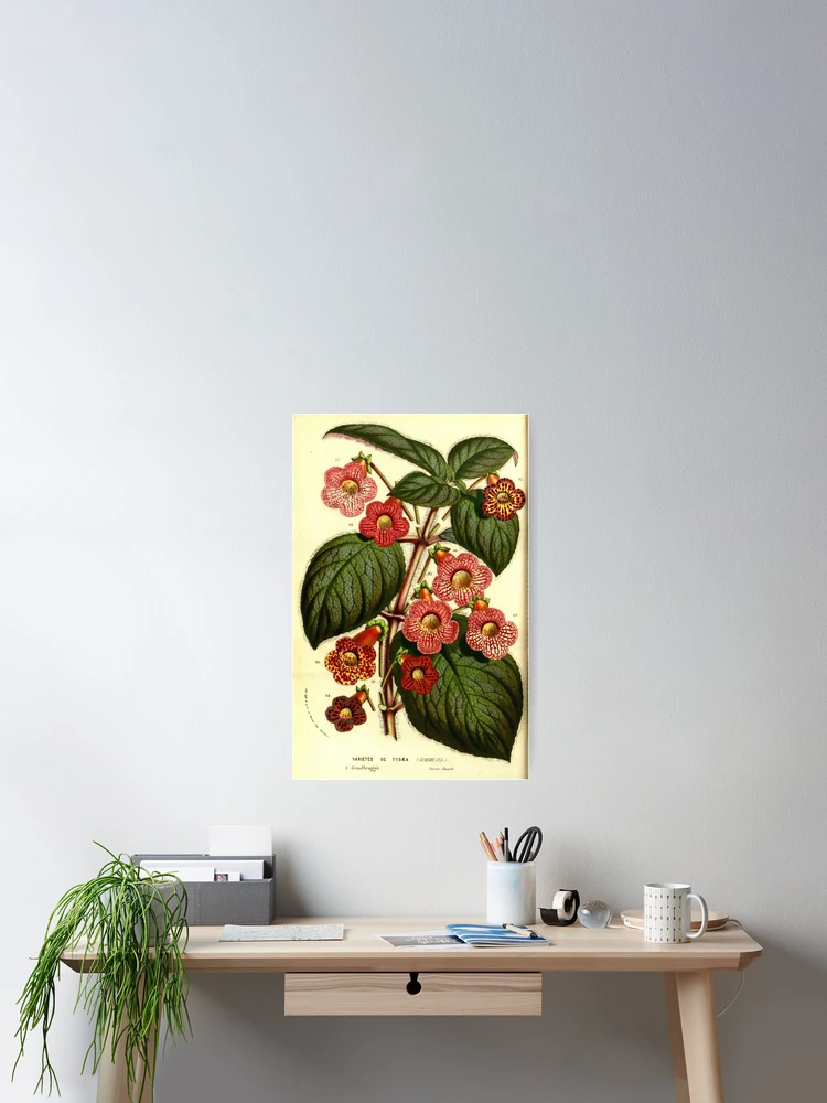 Aperçu 2 sur 3. Poster avec l'œuvre Flore des serres et des... créée et vendue par Rodeoclash.