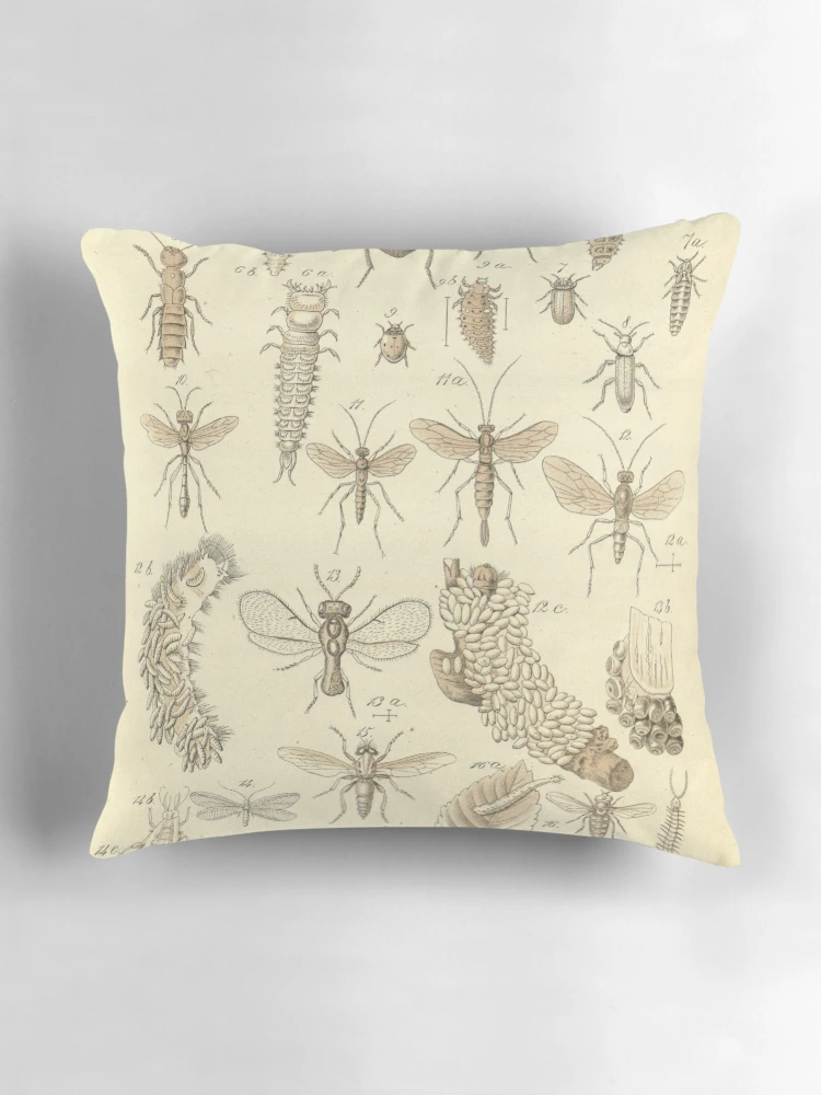 Aperçu 3 sur 4. Coussin avec l'œuvre Flore des serres et des... créée et vendue par Rodeoclash.