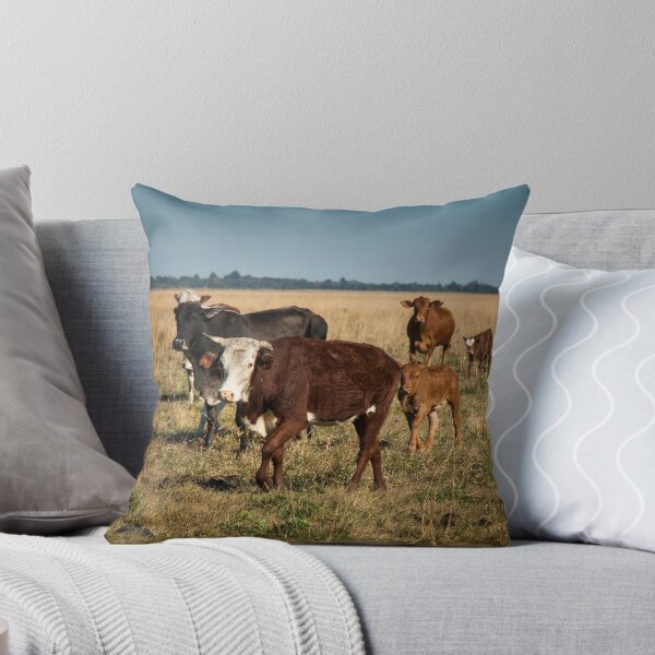 Item preview, Cattle on the Estancia designed and sold by photograham.