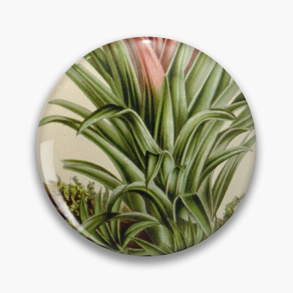 Item preview, Flore des serres et des... designed and sold by Rodeoclash.