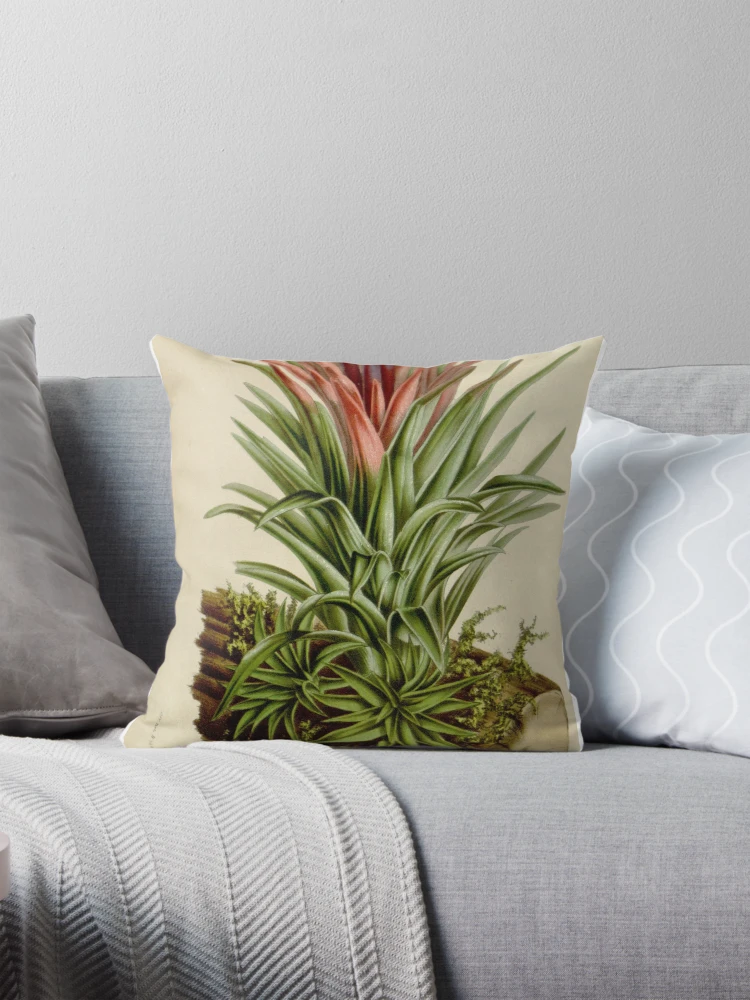 Aperçu 1 sur 4. Coussin avec l'œuvre Flore des serres et des... créée et vendue par Rodeoclash.