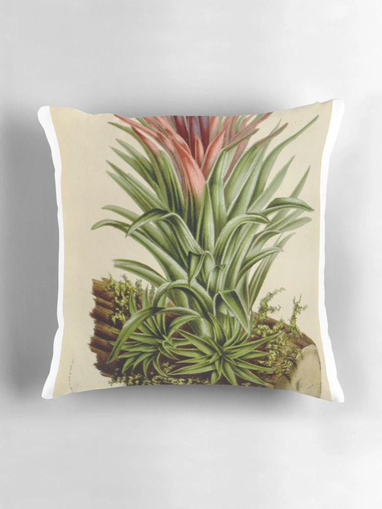 Aperçu 3 sur 4. Coussin avec l'œuvre Flore des serres et des... créée et vendue par Rodeoclash.