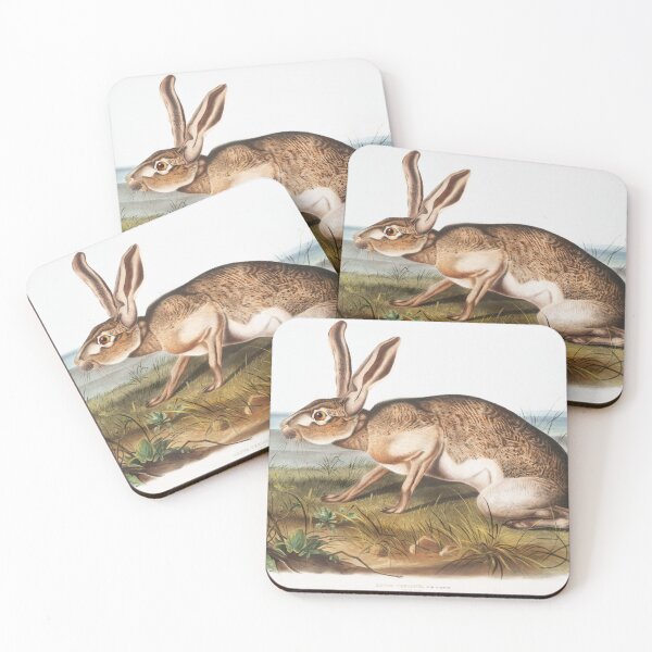 Item preview, Antique rabbit illustration by Audubon, Texian Hare designed and sold by mcburns5.