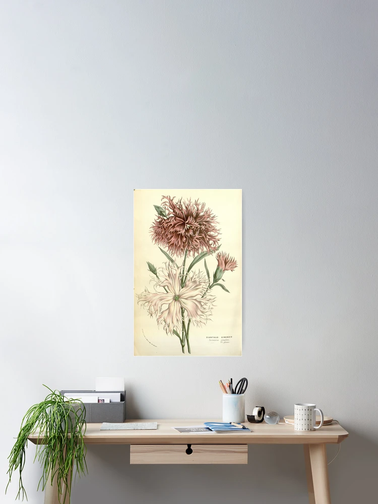 Thumbnail 2 von 3, Poster, Flore des serres et des... designt und verkauft von Rodeoclash.