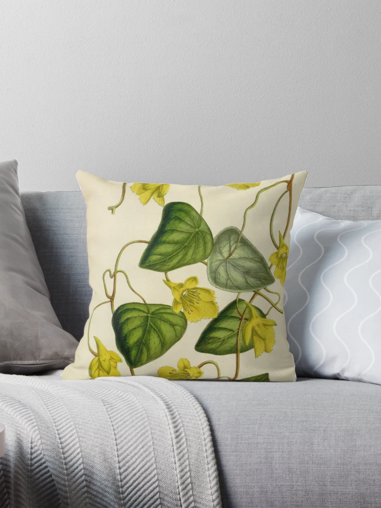 Aperçu 1 sur 4. Coussin avec l'œuvre Flore des serres et des... créée et vendue par Rodeoclash.