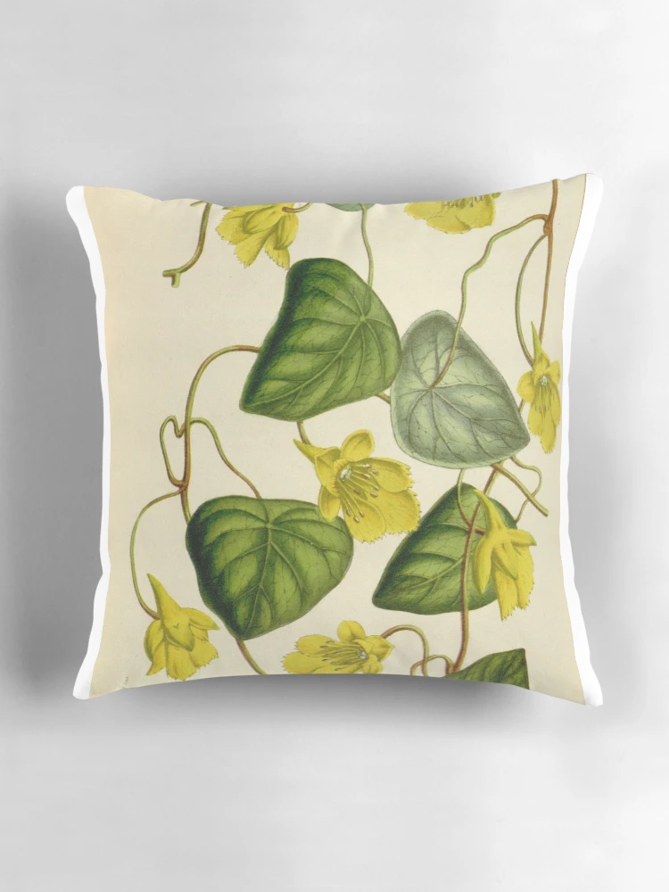 Aperçu 3 sur 4. Coussin avec l'œuvre Flore des serres et des... créée et vendue par Rodeoclash.