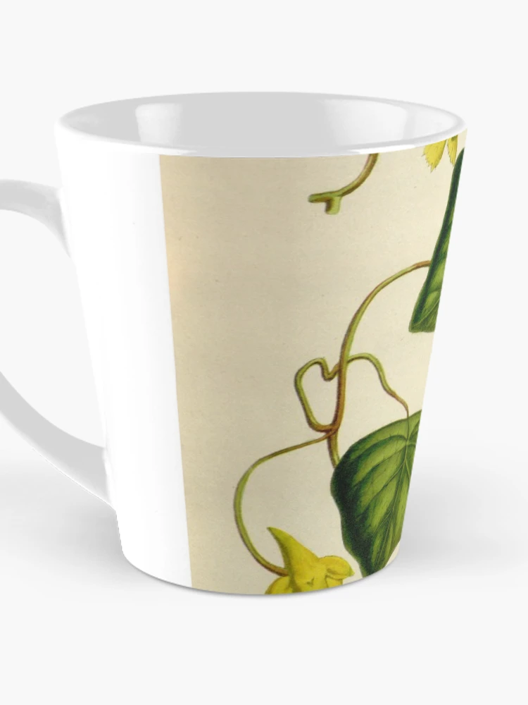 Aperçu 3 sur 4. Mug à café avec l'œuvre Flore des serres et des... créée et vendue par Rodeoclash.