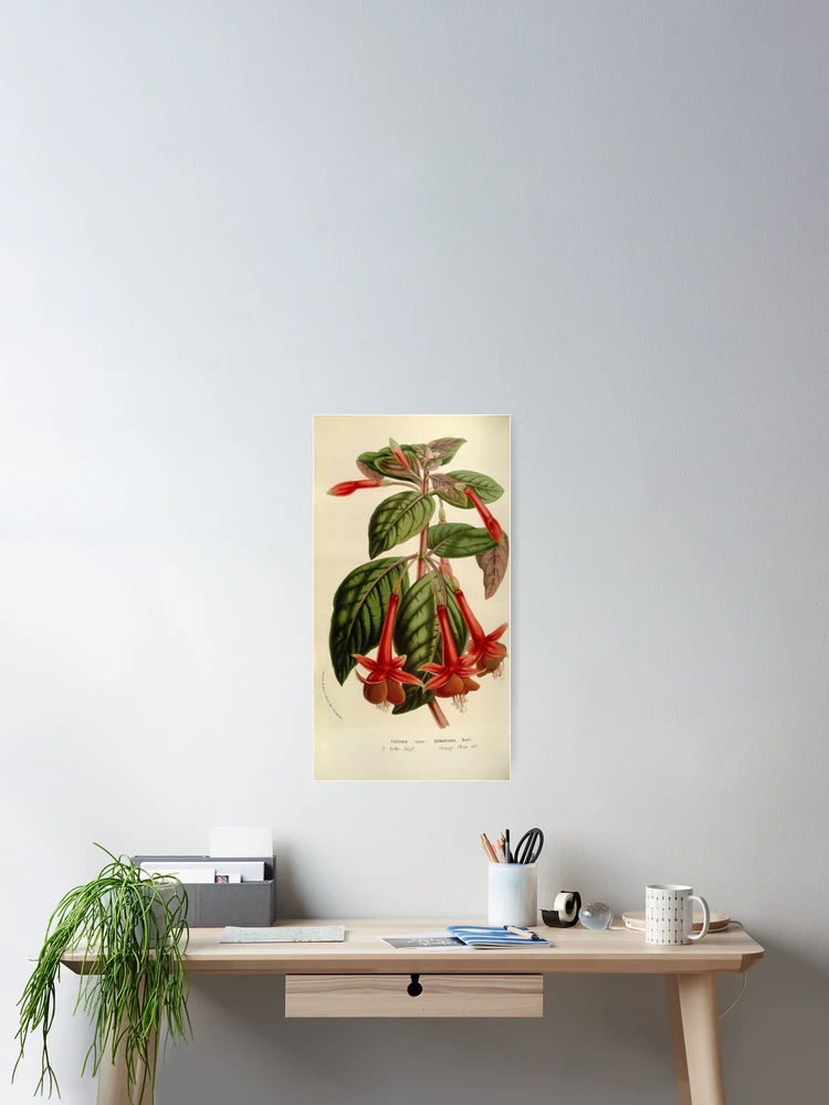 Imagen 2 de 3, Póster con la obra Flore des serres et des..., diseñada y vendida por Rodeoclash.