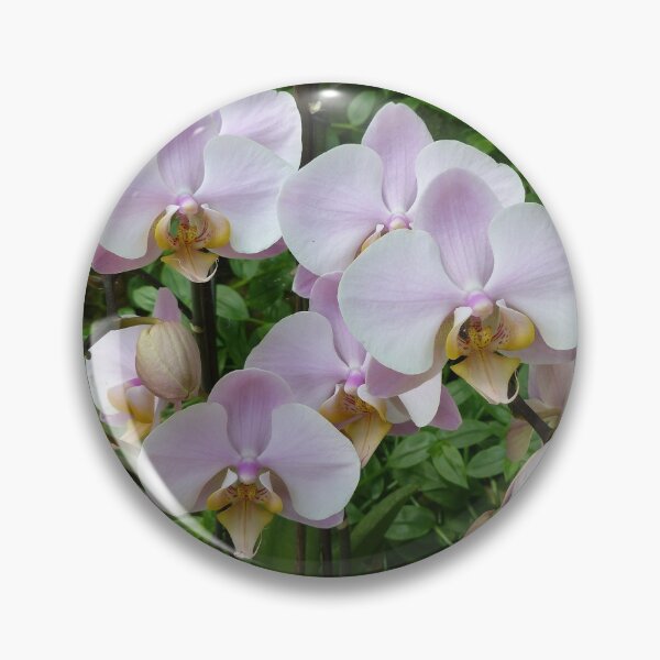 Item preview, Orchids at Palazzo Parisio designed and sold by Trish Meyer.