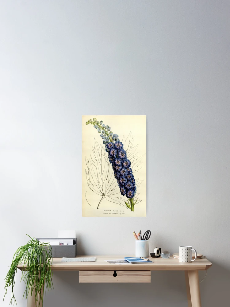 Imagen 2 de 3, Póster con la obra Flore des serres et des..., diseñada y vendida por Rodeoclash.