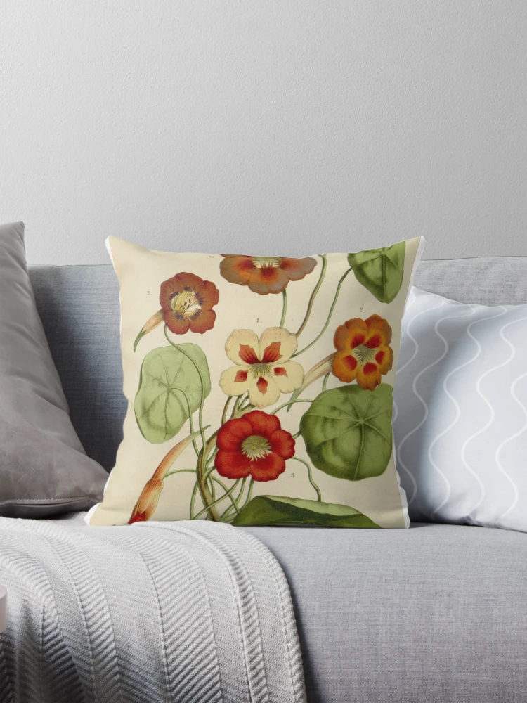 Aperçu 1 sur 4. Coussin avec l'œuvre Flore des serres et des... créée et vendue par Rodeoclash.