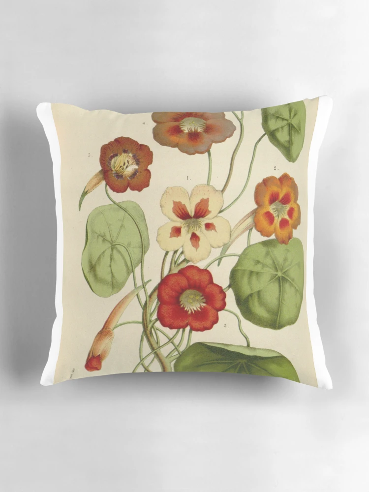 Aperçu 3 sur 4. Coussin avec l'œuvre Flore des serres et des... créée et vendue par Rodeoclash.