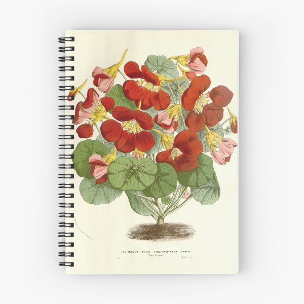 Item preview, Flore des serres et des... designed and sold by Rodeoclash.