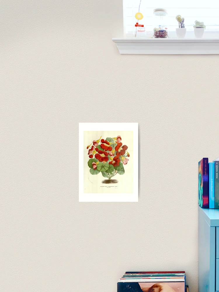 Thumbnail 2 von 3, Kunstdruck, Flore des serres et des... designt und verkauft von Rodeoclash.