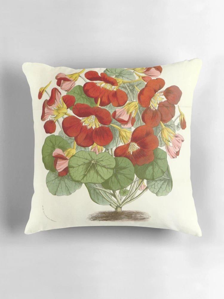 Aperçu 3 sur 4. Coussin avec l'œuvre Flore des serres et des... créée et vendue par Rodeoclash.