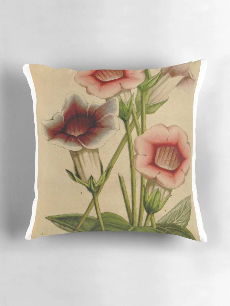 Aperçu 3 sur 4. Coussin avec l'œuvre Flore des serres et des... créée et vendue par Rodeoclash.