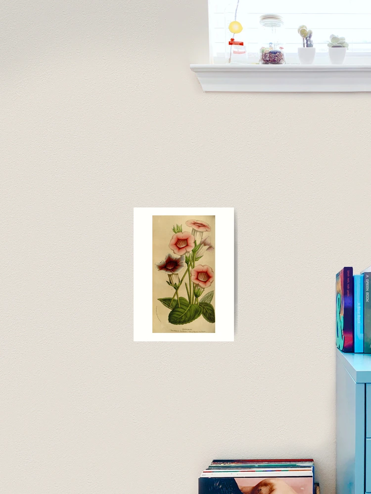 Thumbnail 2 von 3, Kunstdruck, Flore des serres et des... designt und verkauft von Rodeoclash.
