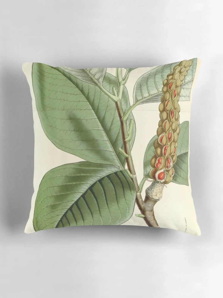 Aperçu 3 sur 4. Coussin avec l'œuvre Flore des serres et des... créée et vendue par Rodeoclash.