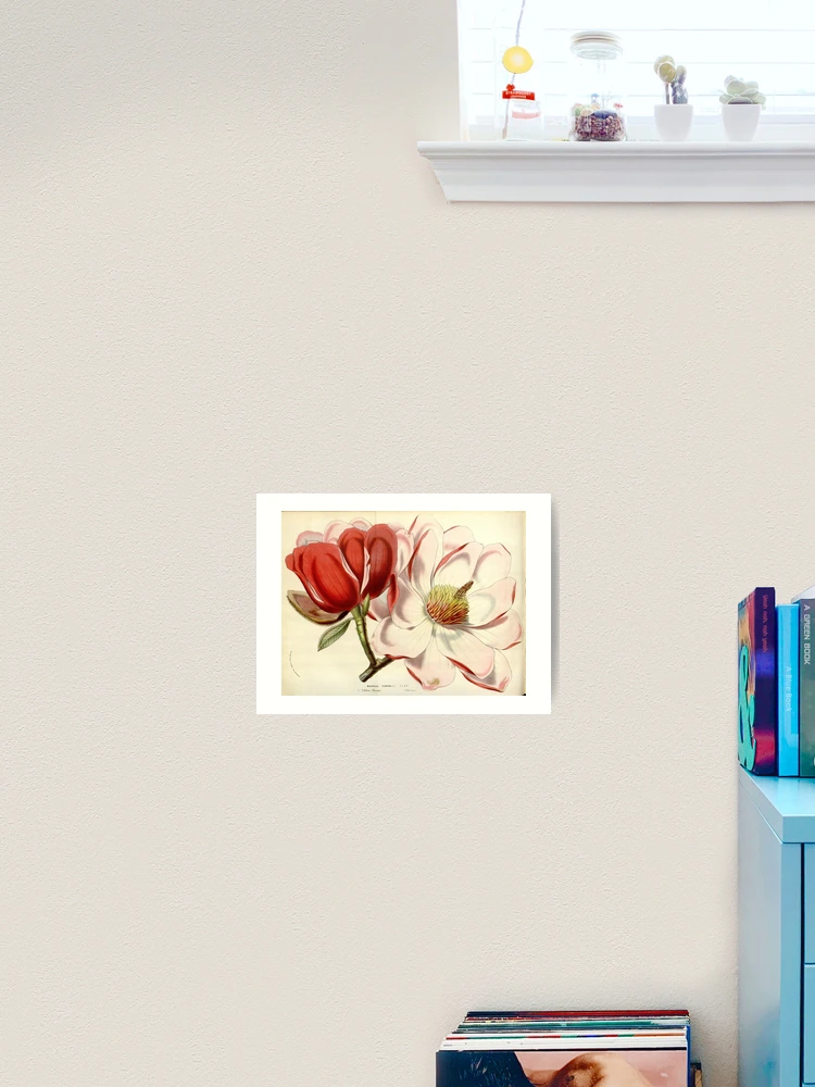 Thumbnail 2 von 3, Kunstdruck, Flore des serres et des... designt und verkauft von Rodeoclash.