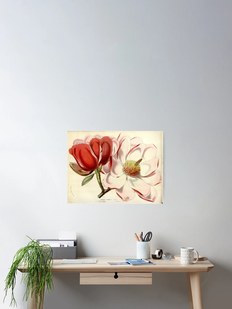 Thumbnail 2 von 3, Poster, Flore des serres et des... designt und verkauft von Rodeoclash.