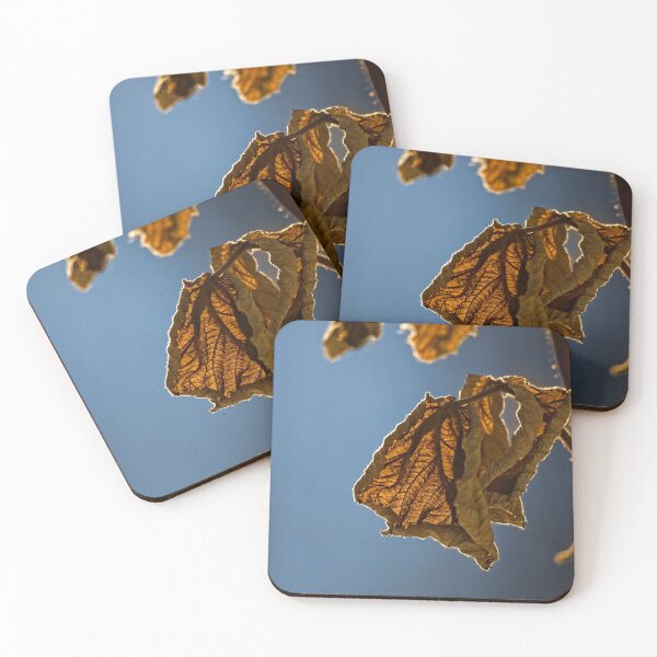 Item preview, Orange on Blue designed and sold by paulhowardphoto.